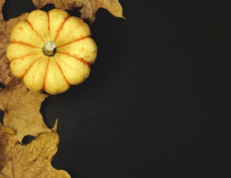 autumn composition with leaves and pumpkin on a black background