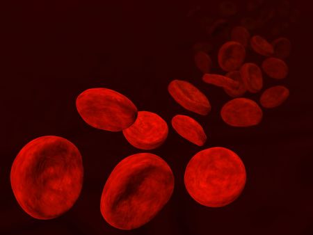 3d rendered image of erythrocytes flowの写真素材