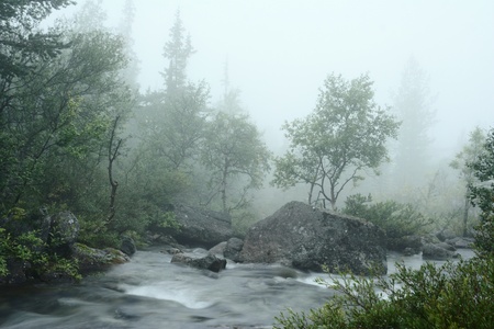 Long exposure forest mountain stream in the fog. Khibiny Massif, Russia. の写真素材