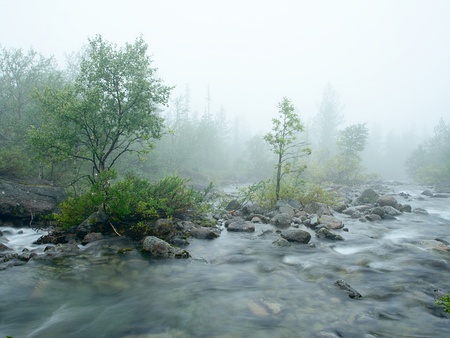 Long exposure mountain stream in the fog. Khibiny Massif, Russia. の写真素材
