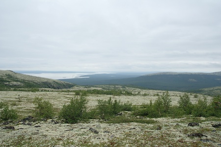 Tundra landscape on Khibiny Mountains, Russia. の写真素材