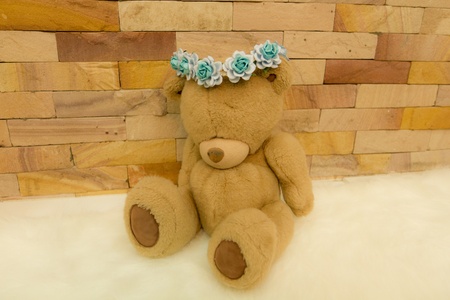 Lonely Bearの写真素材