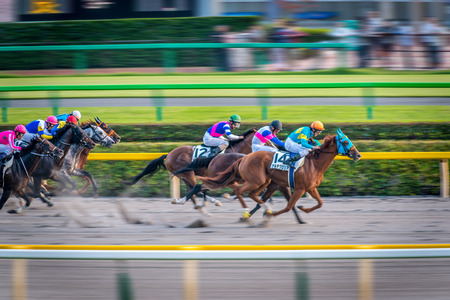 Winning moment of jockey in Tokyo horse racing tournamentのeditorial素材