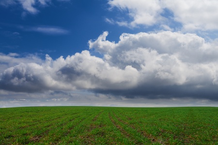 Green meadow and the dark blue cloudy sky