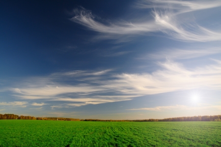 picturesque green field and blue skyの写真素材