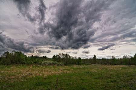 Dark dramatic landscape stormy sky over wetlands