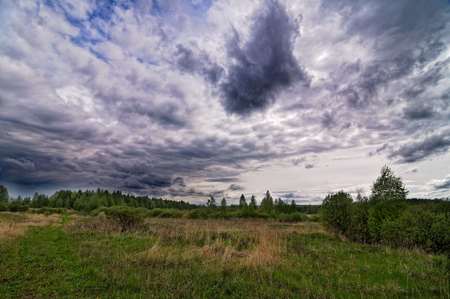 Dark dramatic landscape stormy sky over wetlands