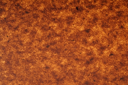 Texture of wrapping paperの写真素材