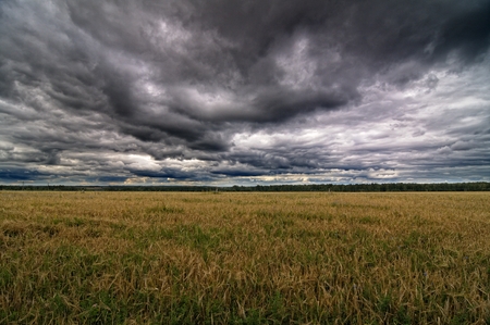 Autumnal field and skyの写真素材