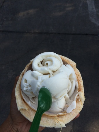 coco ice creamの素材