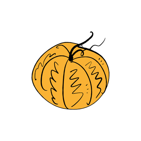 Vector single pumpkin line sketch, hand drawn illustration. Logo, label element. Orange colorのイラスト素材