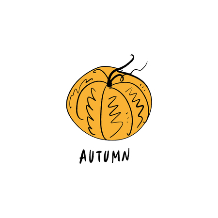 Vector single pumpkin line sketch, hand drawn illustration. Logo, label element. Orange colorのイラスト素材