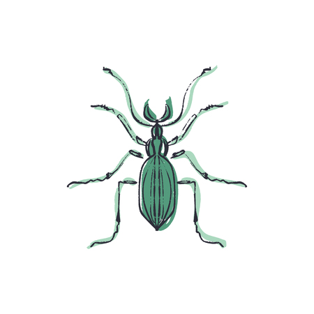 Hand drawn elegant grunge beetle sketch art EPSのイラスト素材