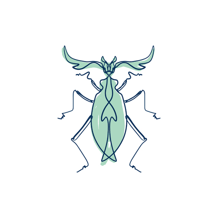 Hand drawn elegant ink beetle line art sketch tattoo art EPSのイラスト素材