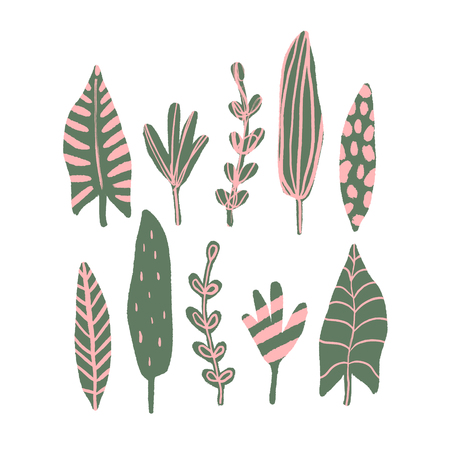 Vector floral elements, poster with tropical leaves. Modern art. Hand drawn brush textures. Good for web, poscards, posters, invitations, brochures templates and coversのイラスト素材