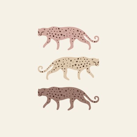 Exotic wild cats. Leopards set. Inhabitants of Asia. Good for summer sale, social media promotional...
