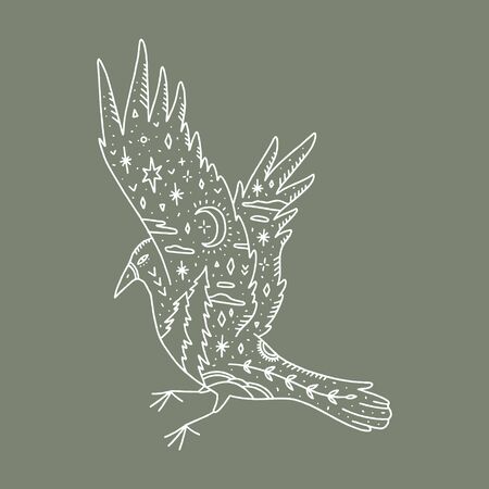 Flying raven. Ornate animal. Harmony and zen. Crescent moon magic symbols. Vector illustration.のイラスト素材