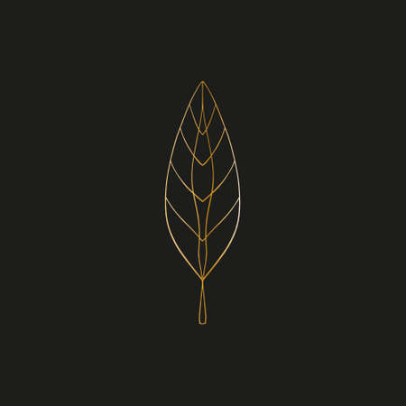 Sacred line geometric symbol with plant leaf, gold figure on black background. Abstract mystic geometry. Vector illustration.のイラスト素材