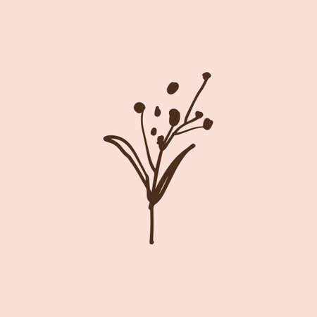 Line art isolated plant logo or label, minimalist eco design.のイラスト素材