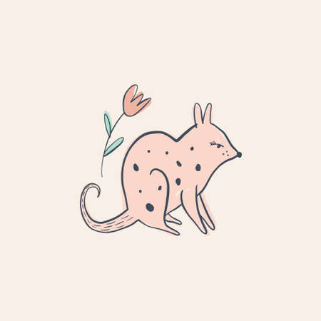 Cute baby bilby Australian animal cartoon doodle kids style drawing.のイラスト素材