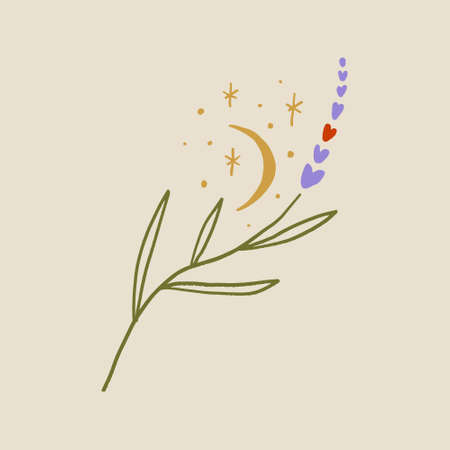 Boho minimalistic tiny lavender branch logo or label vector illustrationのイラスト素材