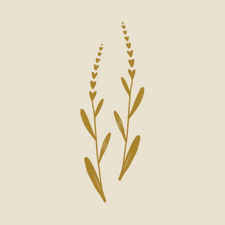 Boho minimalistic tiny lavender branch logo or label vector illustrationのイラスト素材