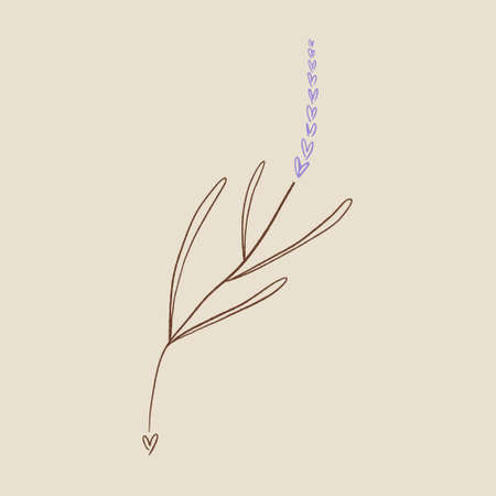Boho minimalistic tiny lavender branch logo or label vector illustrationのイラスト素材