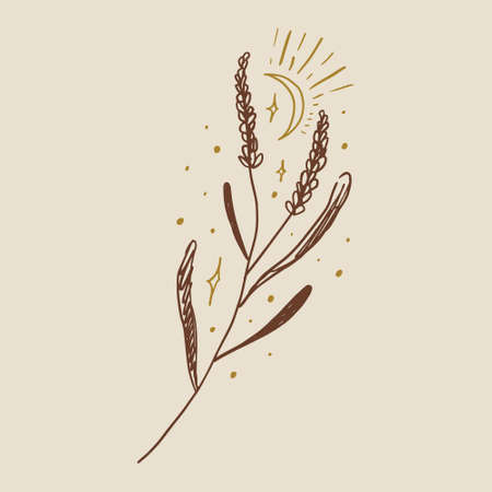 Boho minimalistic tiny lavender branch logo or label vector illustrationのイラスト素材