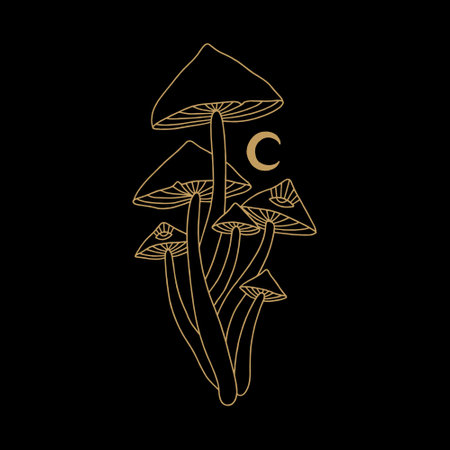 Witchcraft celestial mushrooms set, magical potion ingredients. Cartoon doodle style, woodland forest symbols. Vector and jpg printable image, unique boho clipart illustration, editable isolated details. Perfect for poster or postcard template, t-shirt clothes design, digital stickers and more.のイラスト素材