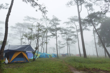 Tent of tourist in park.の写真素材