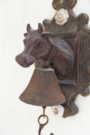 Model of cow's head for hang on the wallの写真素材