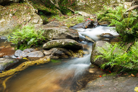 Waterfall in jungle with stone