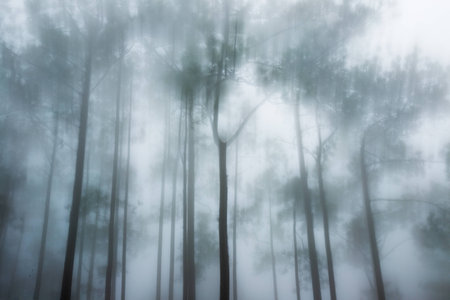 Exposure technique to capture blur pine tree like it's dancingの写真素材
