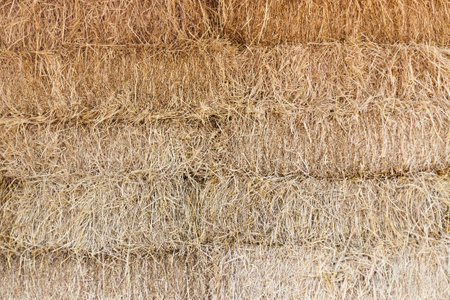 Detail and texture of dry straw in background