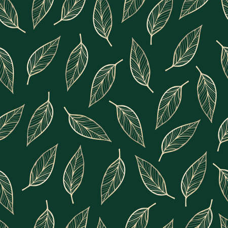 Luxury gold background pattern vector. Gold line art leaves on a dark background. Vector illustrationのイラスト素材