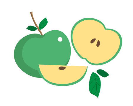 Set of isolated colored green apple half, slice and whole juicy fruit on white background. Hand drawn fruit collection.のイラスト素材