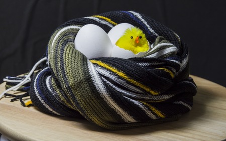 Funny little chick sitting in the egg. The concept is the birth of a new life.の写真素材