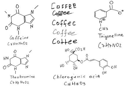 chemical structure of coffee. caffeine formula.のイラスト素材