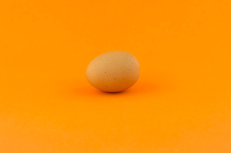 Egg Orange Background_の写真素材
