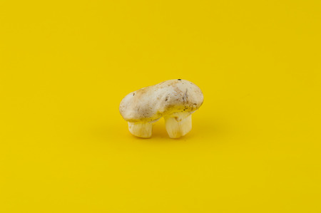 Mushrooms on Yellow Background
