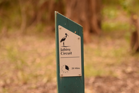 Jabiru Circuit