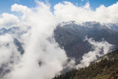 Scenic Dzongri at an altitude of 3900 meters on the national craft industry Geochala Trek to Kanchenjunga.の写真素材