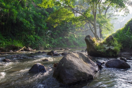 Incredible river flows in the jungle of Bali, Indonesiaの写真素材