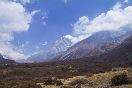 Himalayas range on Kanchenjunga nation park sikkim indiaの写真素材