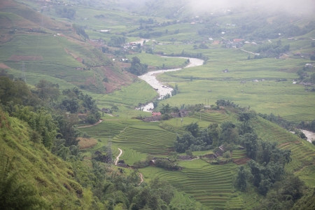 rice terraces in Sapa Vietnamの写真素材