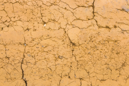 Background earth texture