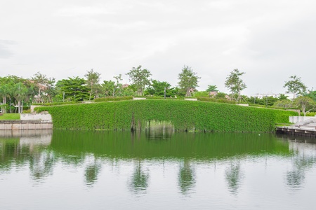 bridge plant over lake on gardenの写真素材