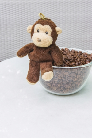 coffee beanの写真素材