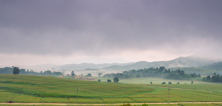rice field on mountain North of Thailandの写真素材