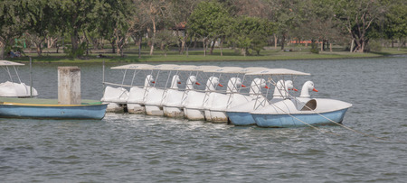 Duck boat on lake in park and gardenのeditorial素材
